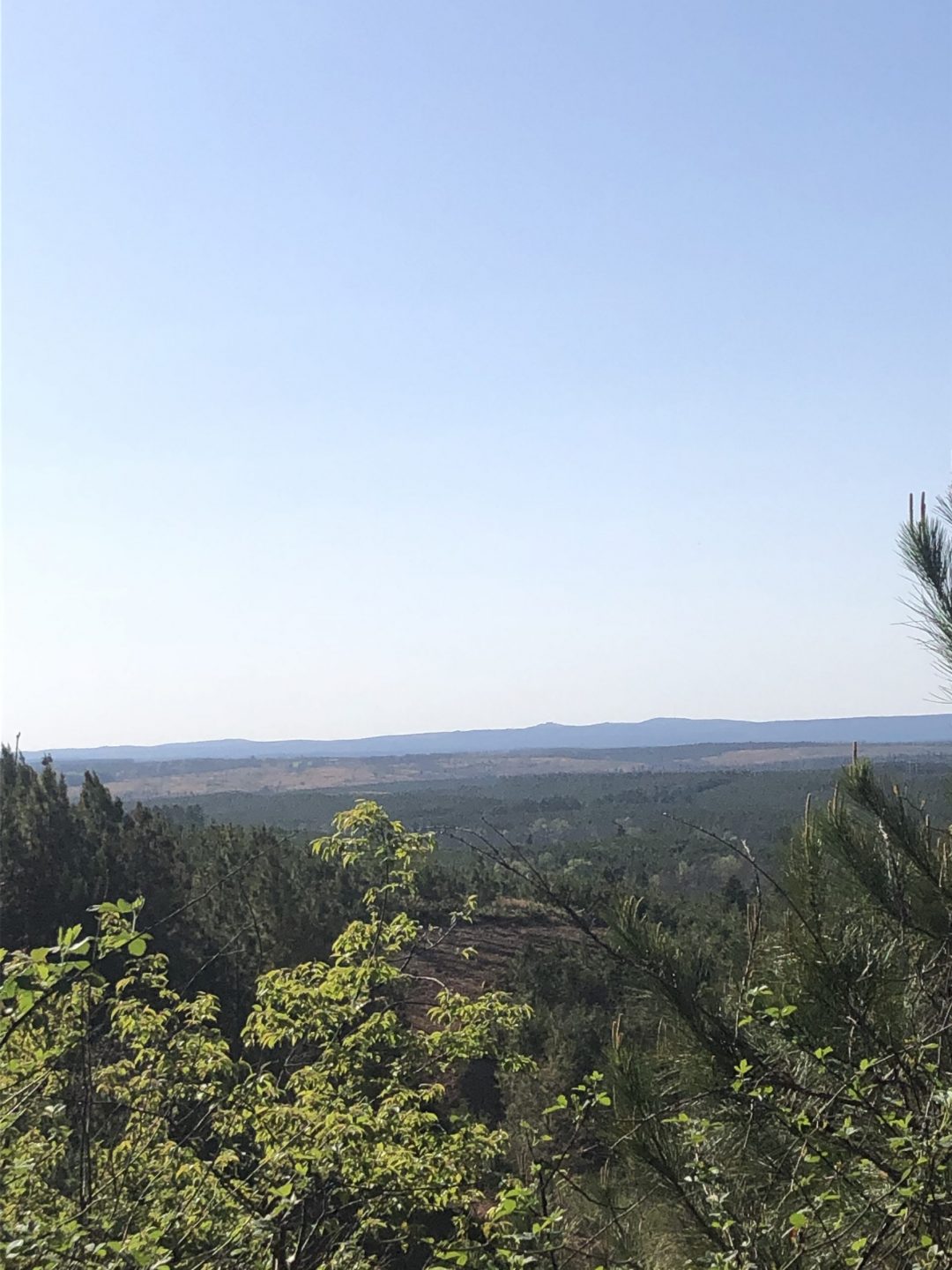 Carter Mountain West Different Than Anything Else